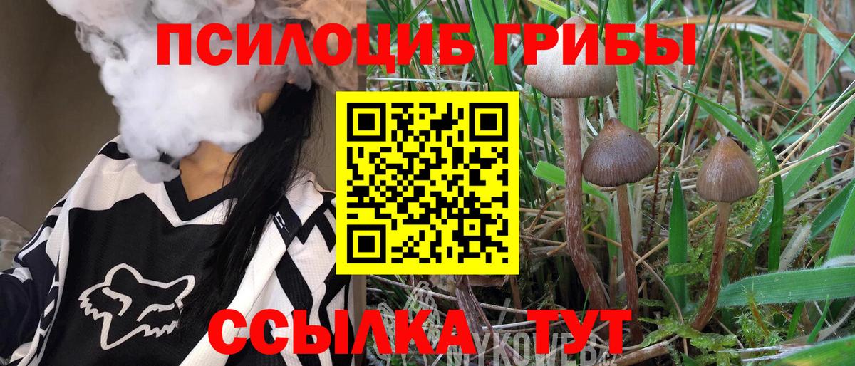 Псилоцибиновые грибы MAGIC MUSHROOMS  Вход с VPN  Псилоцибиновые грибы Magic Shrooms  Кизляр 
