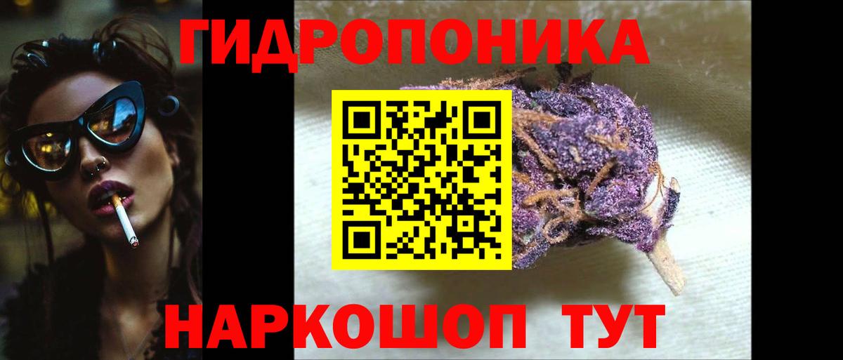 Бошки Шишки планчик  Каннабис индика  Кизляр  Вход с VPN 